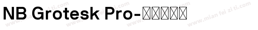NB Grotesk Pro字体转换